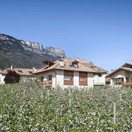 Apartamento Pizzol-Hof Appiano Sulla Strada Del Vino Exterior foto