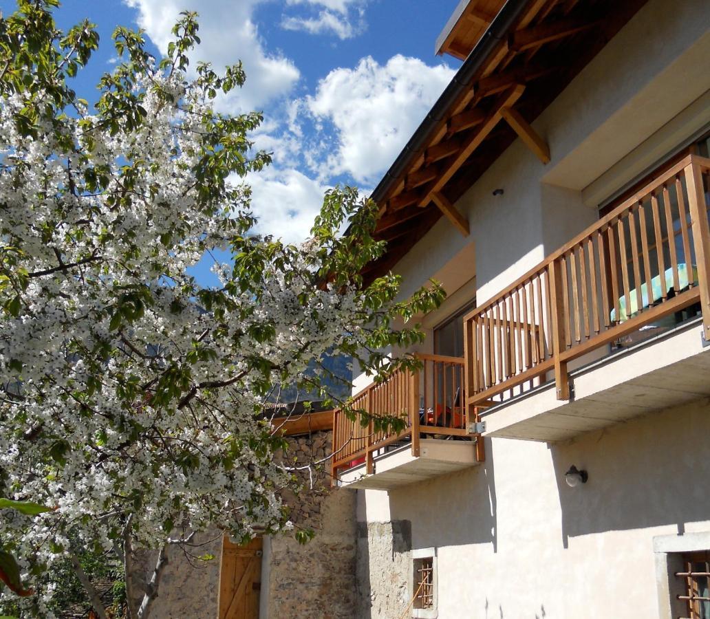 Apartamento Pizzol-Hof Appiano Sulla Strada Del Vino Exterior foto