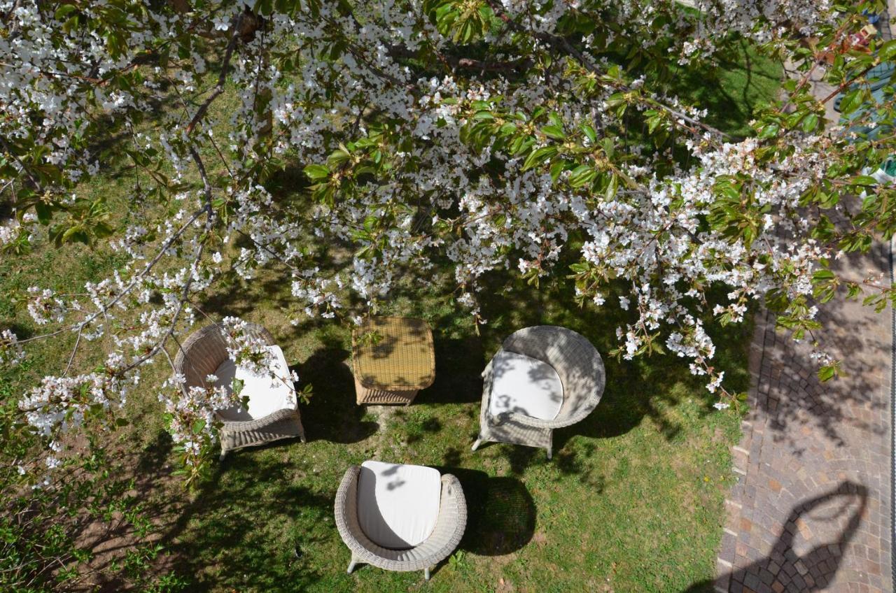 Apartamento Pizzol-Hof Appiano Sulla Strada Del Vino Exterior foto