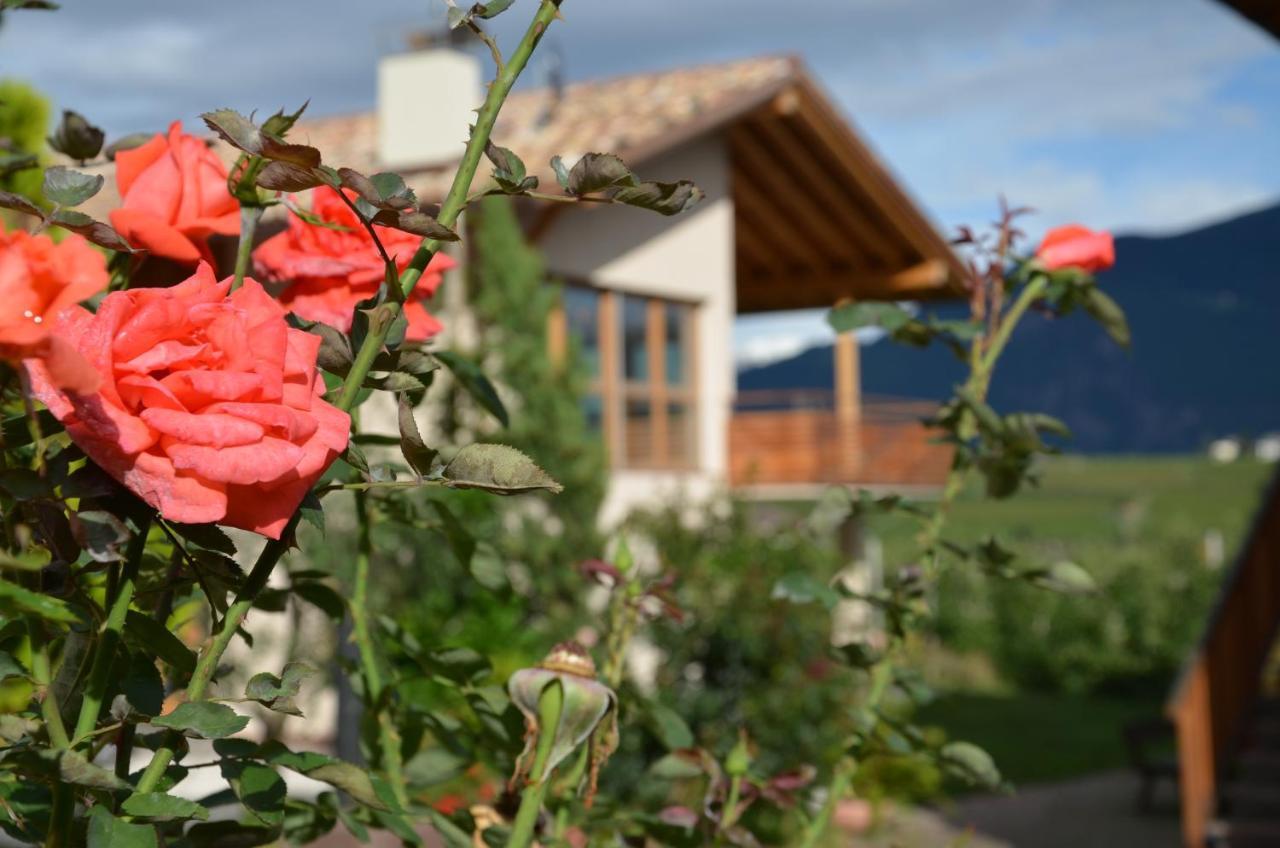 Apartamento Pizzol-Hof Appiano Sulla Strada Del Vino Exterior foto