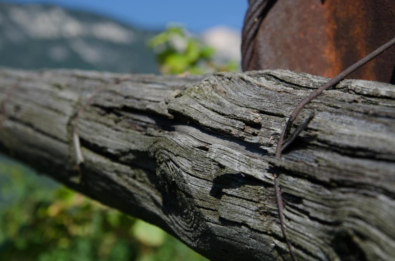 Apartamento Pizzol-Hof Appiano Sulla Strada Del Vino Exterior foto